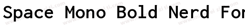 Space Mono Bold Nerd Font Complete字体转换